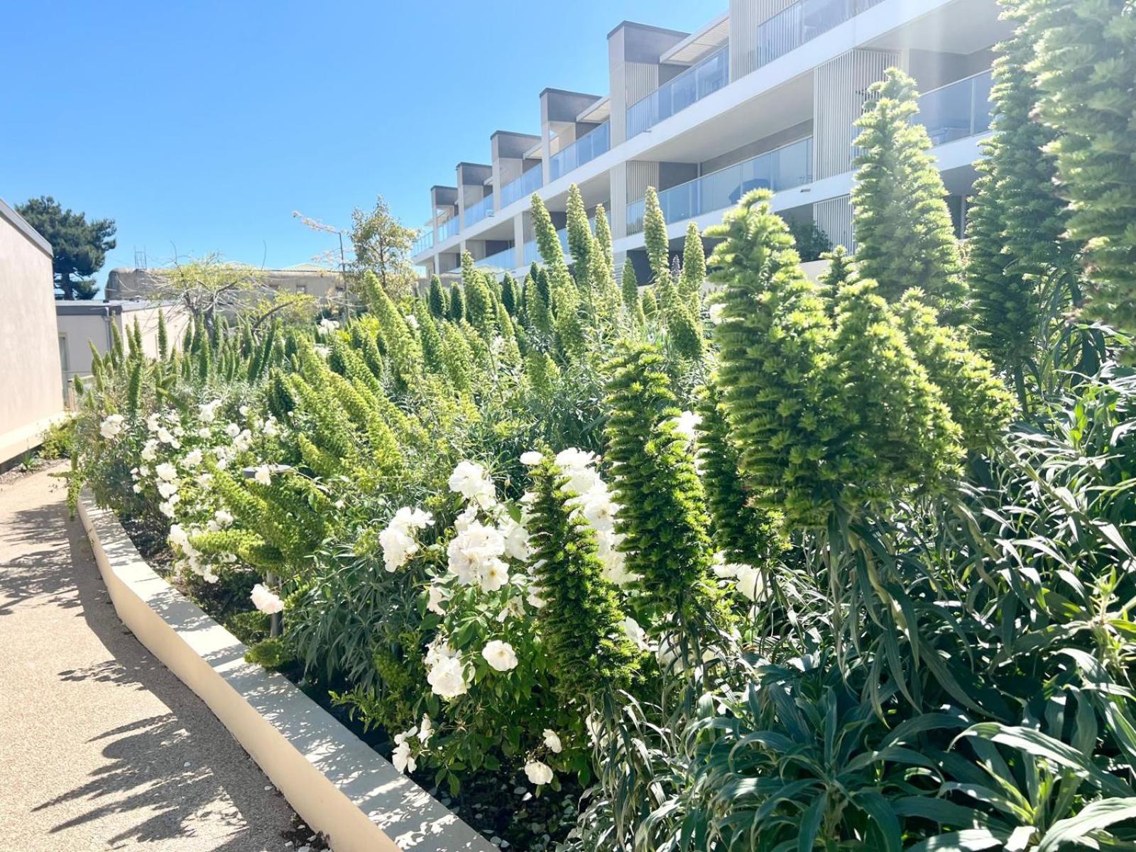 Panoramic Sea View Appartment Blue Pearl نيس المظهر الخارجي الصورة